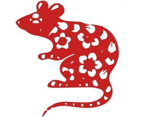 nam-mo-thay-chuot-danh-con-gi